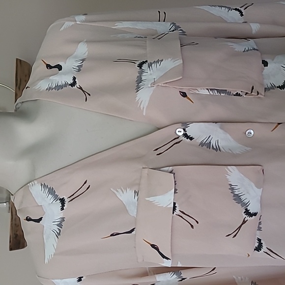 Zara Sheer Button Down - Picture 2 of 9